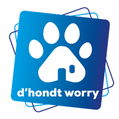 d'hondt worry